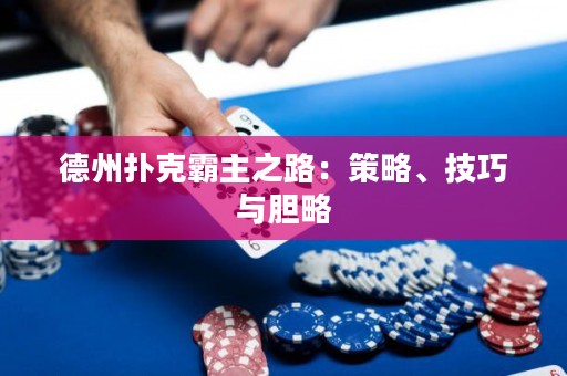 德州扑克霸主之路：策略、技巧与胆略