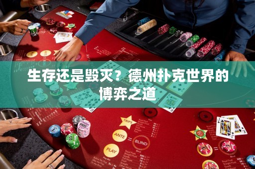 生存还是毁灭？德州扑克世界的博弈之道