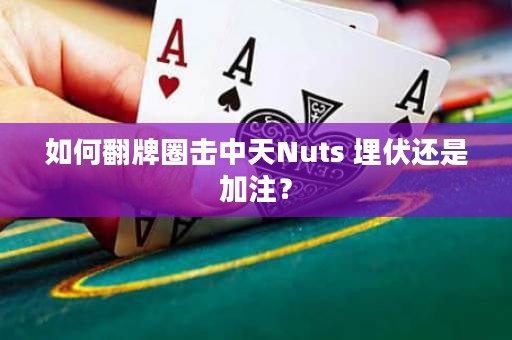 如何翻牌圈击中天Nuts 埋伏还是加注？