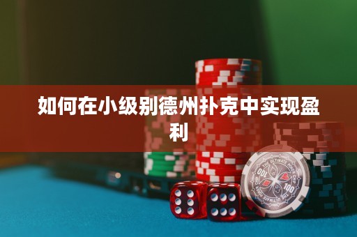 如何在小级别德州扑克中实现盈利