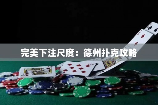 完美下注尺度：德州扑克攻略