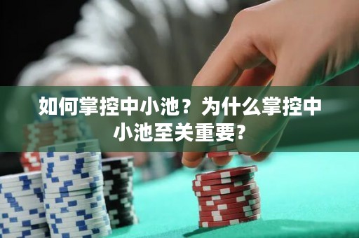 如何掌控中小池？为什么掌控中小池至关重要？