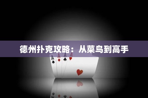 德州扑克攻略：从菜鸟到高手
