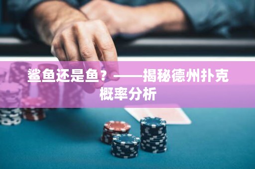 鲨鱼还是鱼？——揭秘德州扑克概率分析”