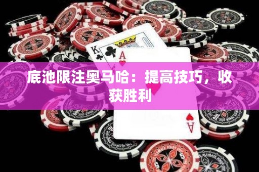 底池限注奥马哈：提高技巧，收获胜利