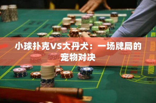 小球扑克VS大丹犬：一场牌局的宠物对决