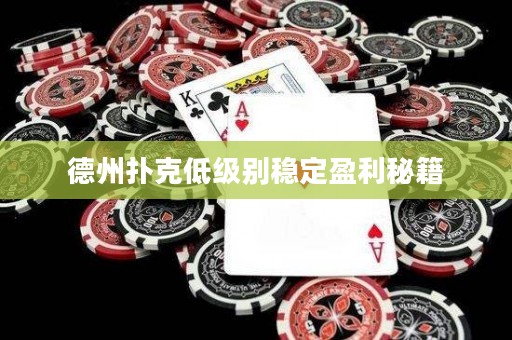 德州扑克低级别稳定盈利秘籍