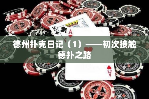 德州扑克日记（1）——初次接触德扑之路