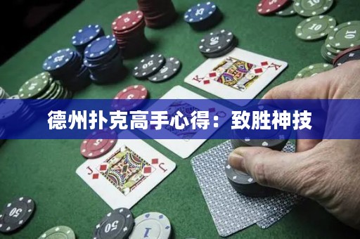 德州扑克高手心得：致胜神技