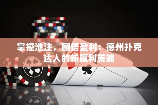 掌控池注，翻倍盈利：德州扑克达人的新赢利策略
