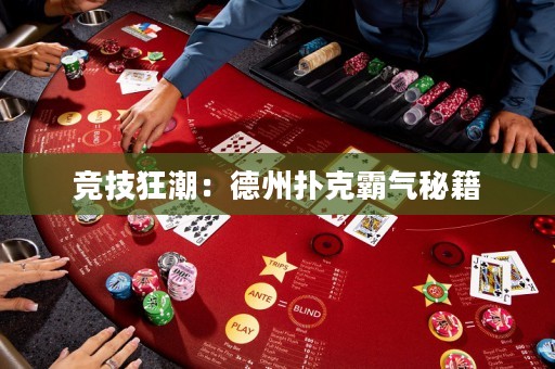 竞技狂潮：德州扑克霸气秘籍