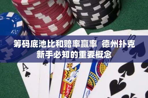 筹码底池比和赔率赢率  德州扑克新手必知的重要概念