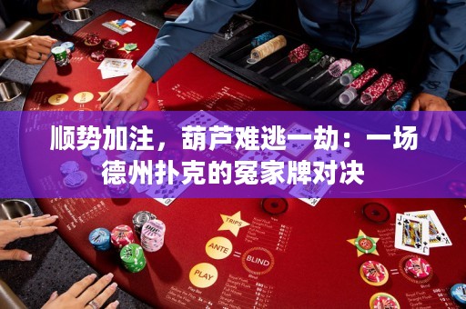 顺势加注，葫芦难逃一劫：一场德州扑克的冤家牌对决
