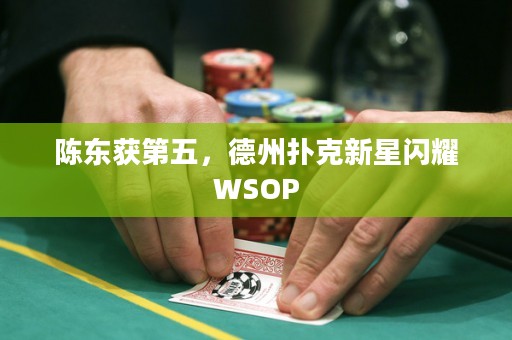 陈东获第五，德州扑克新星闪耀WSOP