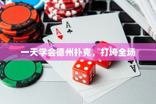 一天学会德州扑克，打垮全场