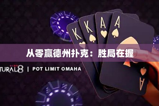 从零赢德州扑克：胜局在握