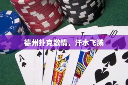 德州扑克激情，汗水飞溅