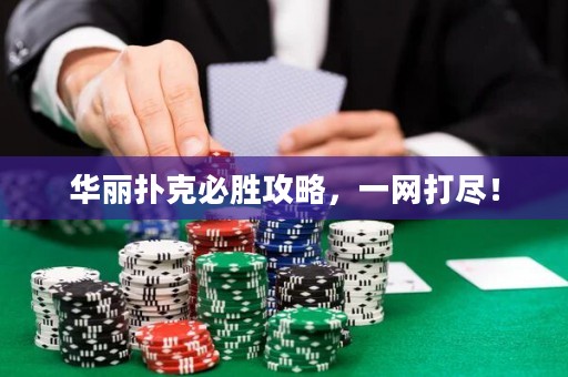 华丽扑克必胜攻略，一网打尽！
