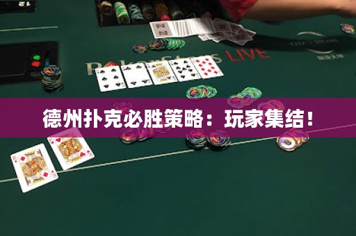 德州扑克必胜策略：玩家集结！