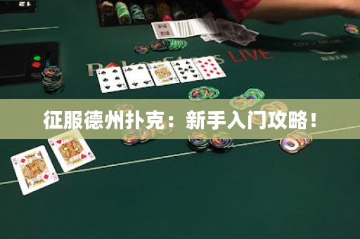 征服德州扑克：新手入门攻略！