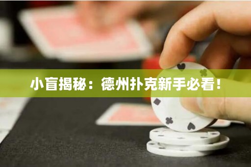 小盲揭秘：德州扑克新手必看！