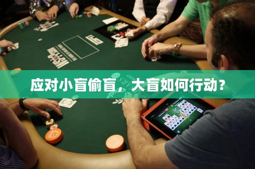 应对小盲偷盲，大盲如何行动？