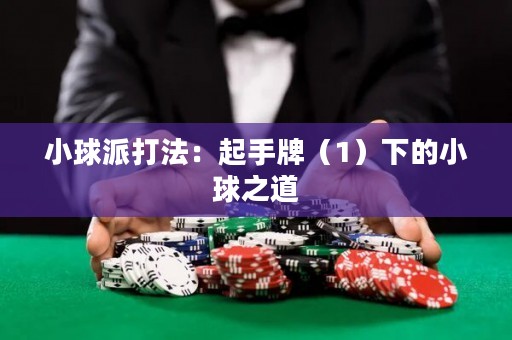 小球派打法：起手牌（1）下的小球之道